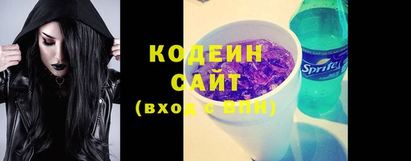 стаф Корсаков