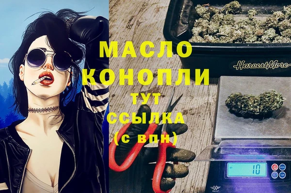 стаф Корсаков