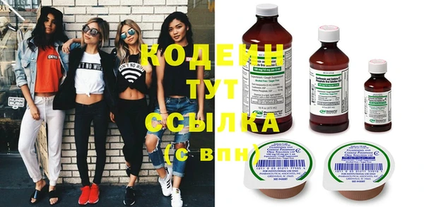 стаф Корсаков