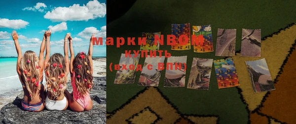 стаф Корсаков