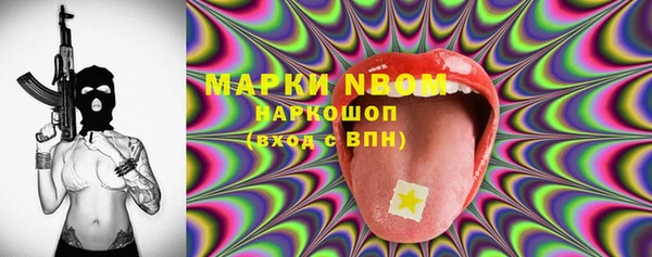 стаф Корсаков