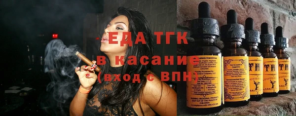 стаф Корсаков