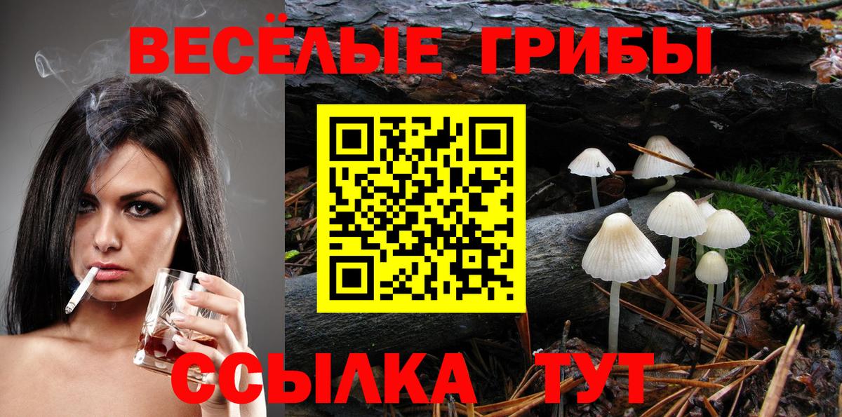 Галлюциногенные грибы MAGIC MUSHROOMS Лиски