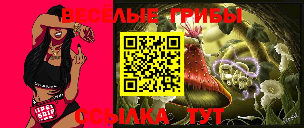 Галлюциногенные грибы GOLDEN TEACHER  Вход с VPN  Лиски  Галлюциногенные грибы мухоморы 